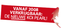 Ab 2008 für Sie im Handel: die neue Koi Pearl!